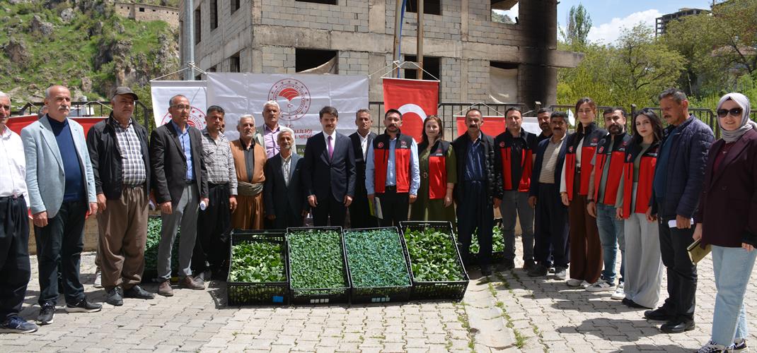 ÇUKURCA’DA DÜNYA ÇİFTÇİLER GÜNÜ’NDE 34 BİN FİDE DAĞITILDI