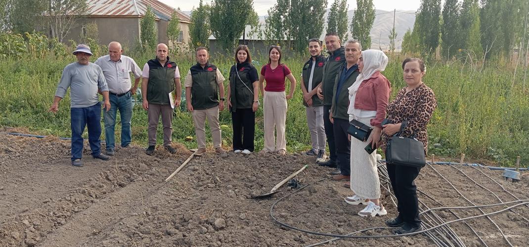HAKKARİ’DE SAFRAN BİTKİSİ YETİŞTİRİCİLİĞİNİN GELİŞTİRİLMESİ AMACIYLA SAFRAN DİKİMİ YAPILDI